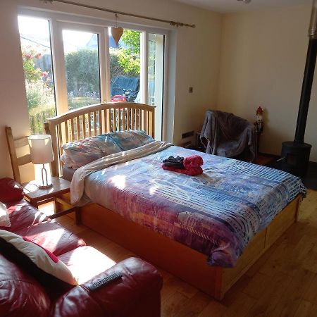 No 9 Manor Way Apartment Carmarthen Bagian luar foto