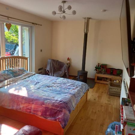 No 9 Manor Way Apartment Carmarthen Bagian luar foto