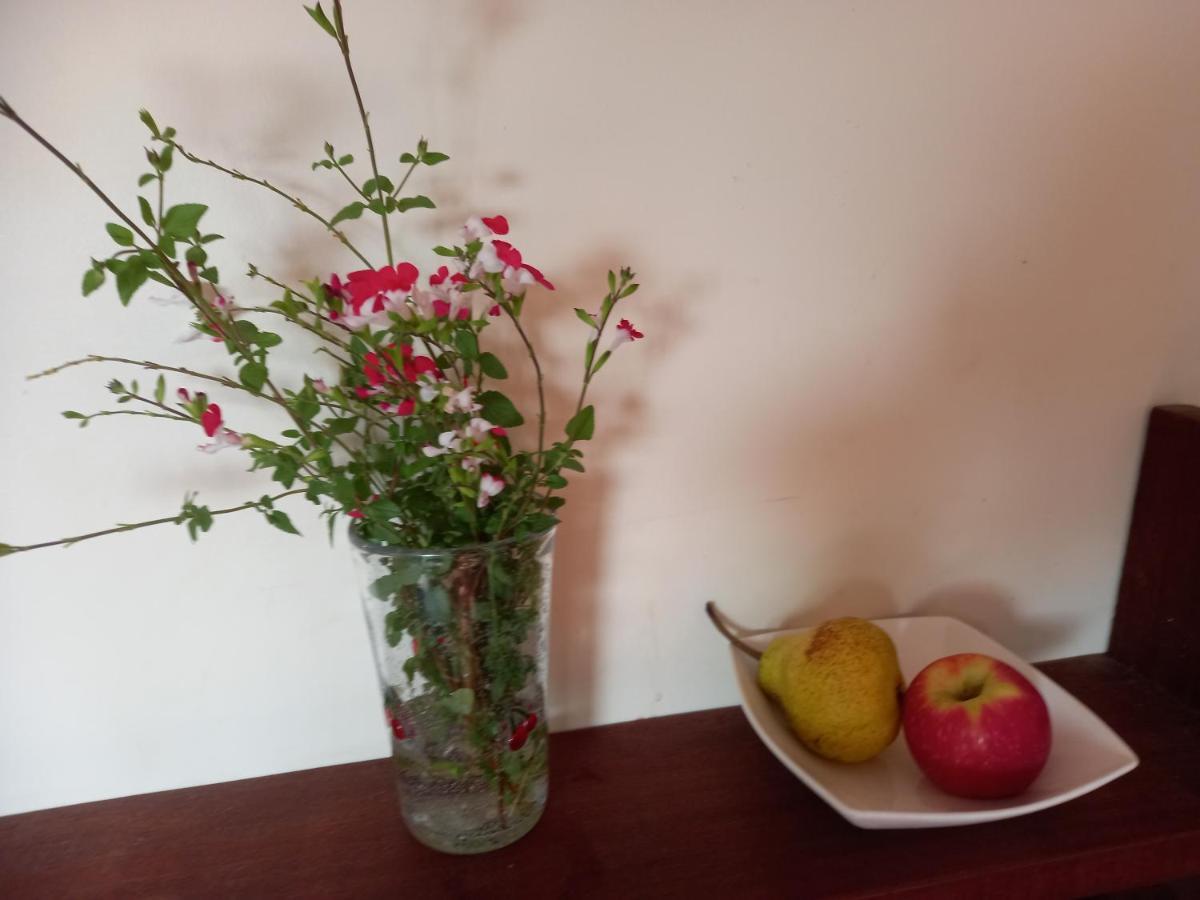 No 9 Manor Way Apartment Carmarthen Bagian luar foto